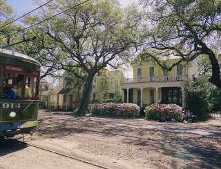 Streetcar - Uptown Spring Color - Azaleas - St. Charles Avenue