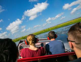 Jean Lafitte Swamp Tour