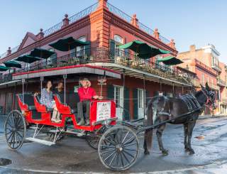 Horse and Carriage Tour