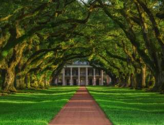 Oak Alley