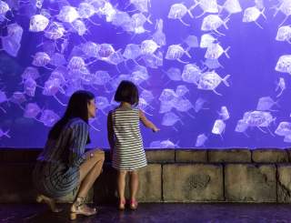 Audubon Aquarium