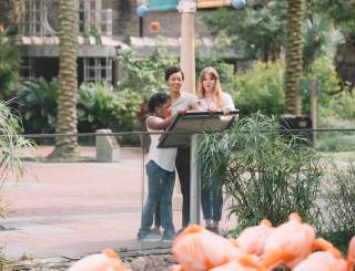 Audubon Zoo
