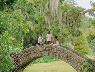 Friends Gather In City Park