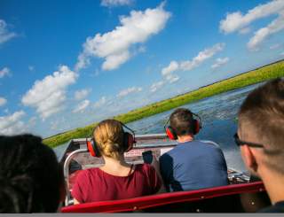 Jean Lafitte Swamp Tour