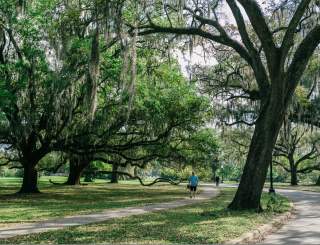 New Orleans City Park