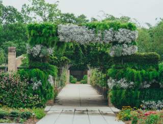 New Orleans Botanical Garden