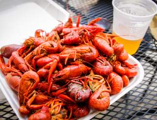 NOLA Crawfish Festival