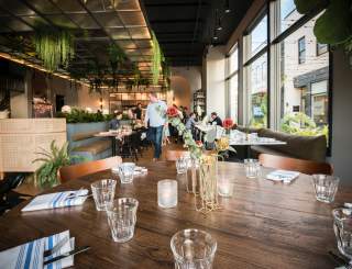 The Bower
