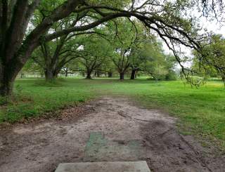 City Park Disc Golf