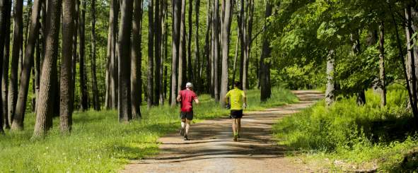 Discover the Trails of Otsego County: A Day Trip Hiking Guide