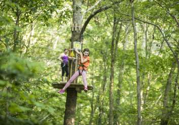 Go Ape Treetop Adventure