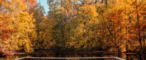 Best Places to See Fall Foliage in Evansville