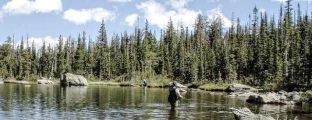 5 Tips For Fly Fishing Colorado's Wild Rivers