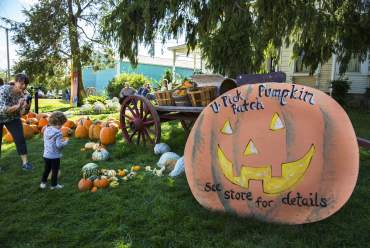 Alber Orchard & Cider Mill