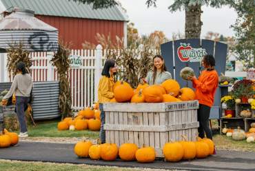 Wiard's Orchards and Country Fair