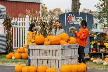 Wiard’s Orchards & Country Fair