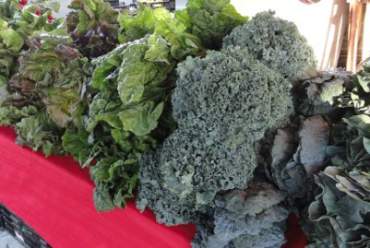 Saline Farmers Market