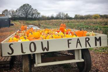 Slow Farm