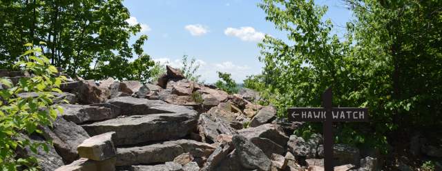 View of trail up to Hawk Watch along the Standing Stone Trail