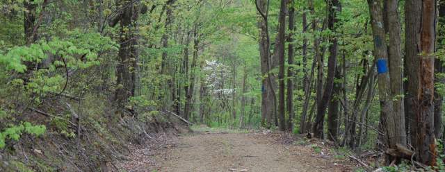 Trail Bingo: An adventure that’s perfect for the whole family
