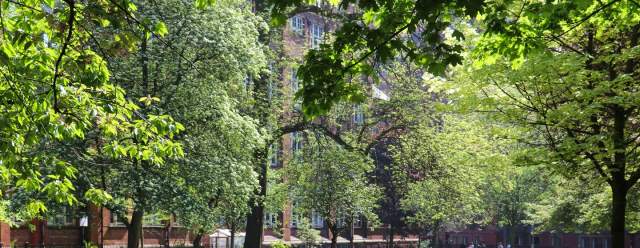 Top 10 tips to Visit Manchester Well