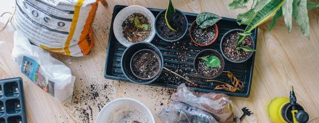 Exploring Volunteering Opportunities and Community Spaces in Greater Manchester