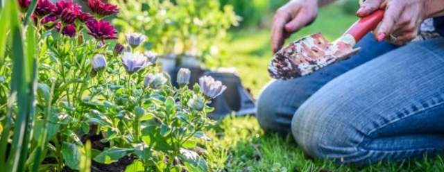 Tourism Department eclipses 71 grant partners for litter cleanup program