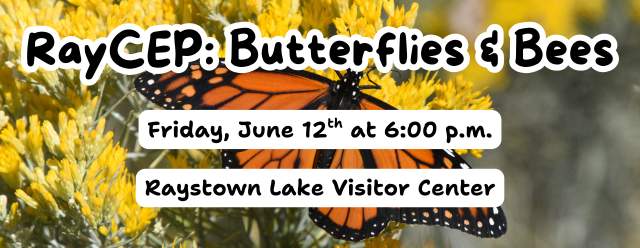 RayCEP: Butterflies & Bees at the Raystown Lake Visitor Center