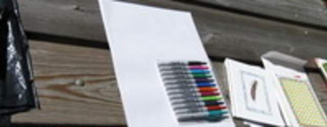 Intro to Nature Journaling at Trough Creek State Park