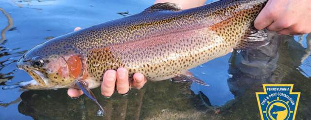 All About Trout at Greenwood Furnace State Park