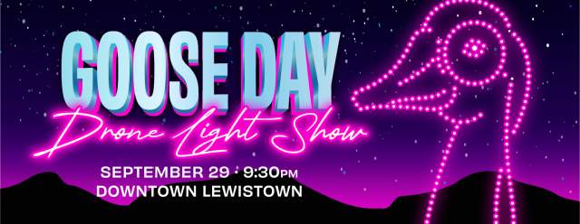 Goose Day Drone Light Show