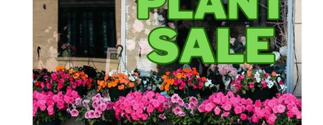 Plant Sale at Alexandria Memorial Library