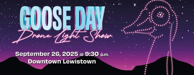Goose Day Drone Light Show