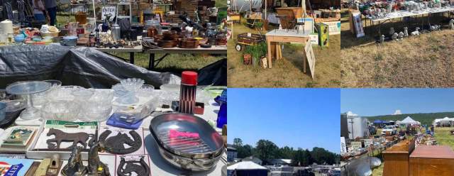 NAMA Spring Show Flea Market at Penn's Cave & Wildlife Park