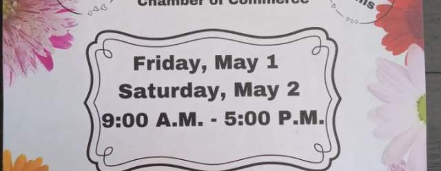 Mount Union Chamber's Flower Sale