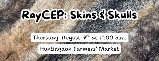 RayCEP: Skins & Skulls at the Huntingdon Farmers' Market