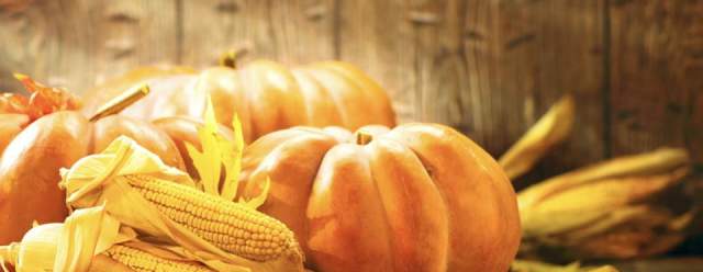 Big Valley Harvestfest