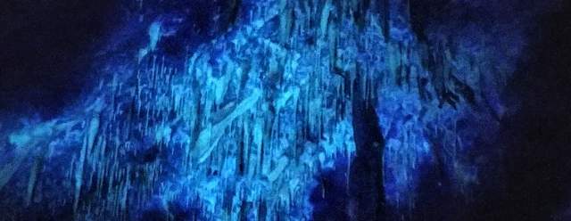Come to the Dark Side: Blacklight Adventures at Lincoln Caverns