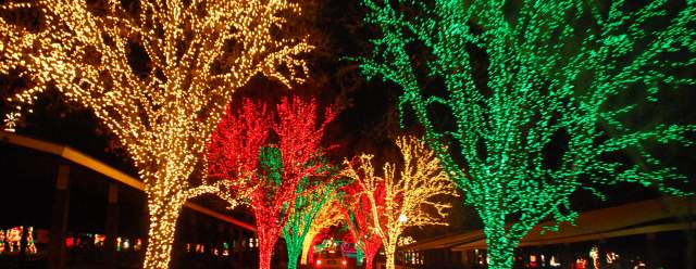 Holiday Lights on the Lake at Lakemont Park