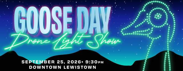 Goose Day Drone Light Show