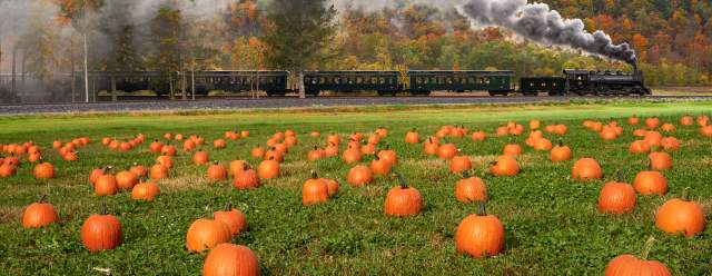 Pumpkin Patch Express at East Broad Top Railroad