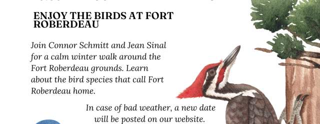 Winter Bird Walk at Fort Roberdeau