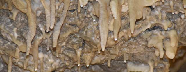 22nd Annual Discovery Days at Lincoln Caverns