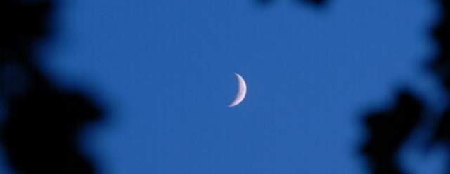 Bump in the Night: Nocturnal Animals at Trough Creek State Park