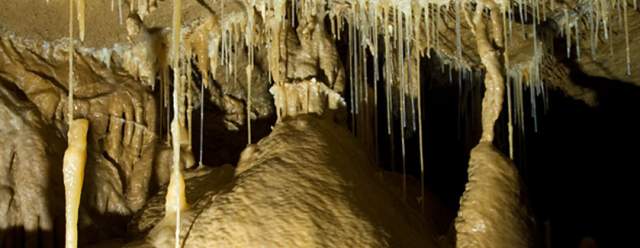 Workshop Wednesdays: Crazy About Caves and Troglo Who? at Lincoln Caverns & Whisper Rocks