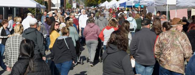 Hartslog Day Heritage Festival