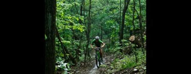 Intermediate/Advanced MTB Skills Clinic at Raystown Skills Park