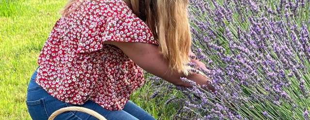 Farm Tour Fridays: Lavender Field of Dreams