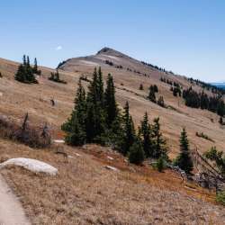 Monarch Crest Trail: Out and Back