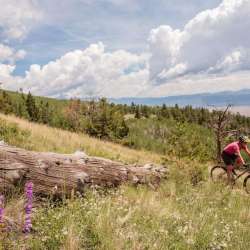 Mt. Princeton to Cottonwood Pass